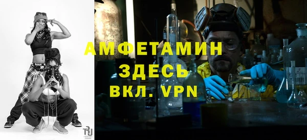 гидра Богданович
