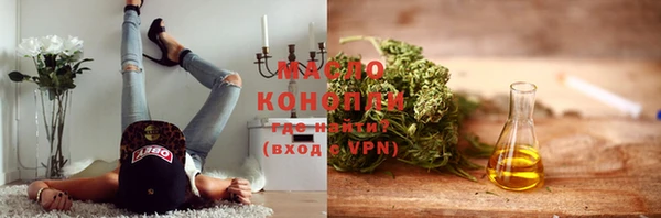 стаф Богородск