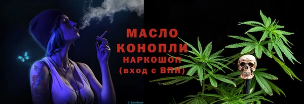 гидра Богданович
