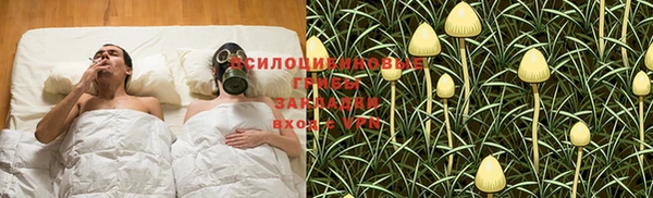 мдпв Белокуриха