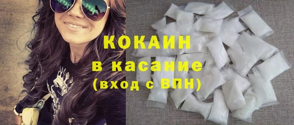 гидра Богданович