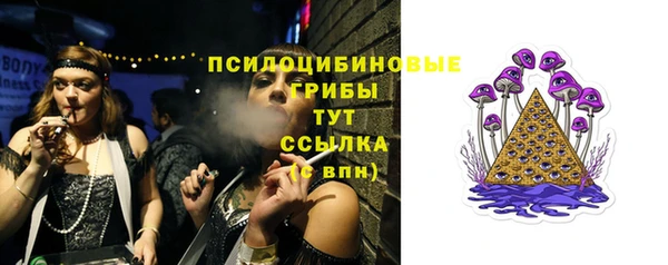 мдпв Белокуриха