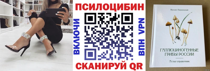 купить Сычёвка Псилоцибиновые грибы Cubensis