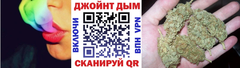 купить закладку  площадка какой сайт  Шишки марихуана SATIVA & INDICA  Сычёвка 